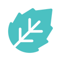 Cool Mint